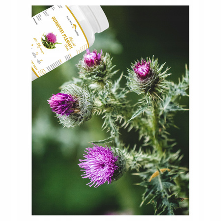 OSTROPEST PLAMISTY EKSTRAKT 80% SYLIMARYNY 125 mg 120 KAPSUŁEK